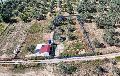 KEMALPAŞA VİŞNELİDE 1.245 M2 TARLA