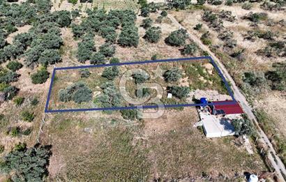 KEMALPAŞA VİŞNELİDE 1.245 M2 TARLA