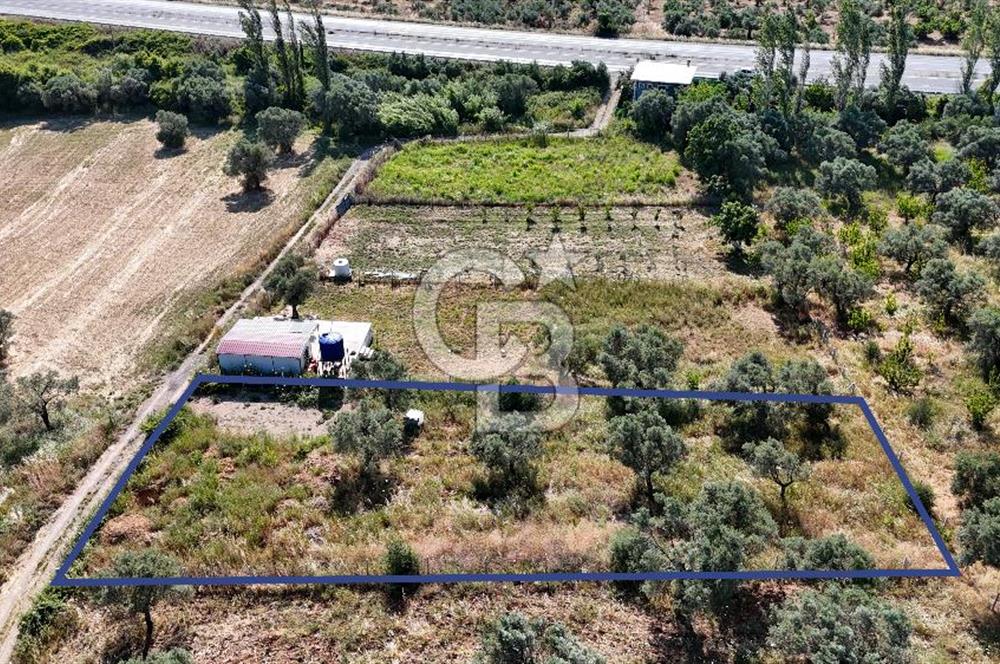 KEMALPAŞA VİŞNELİDE 1.245 M2 TARLA