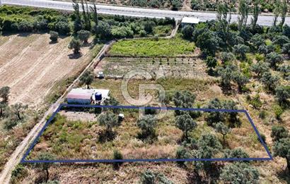 KEMALPAŞA VİŞNELİDE 1.245 M2 TARLA