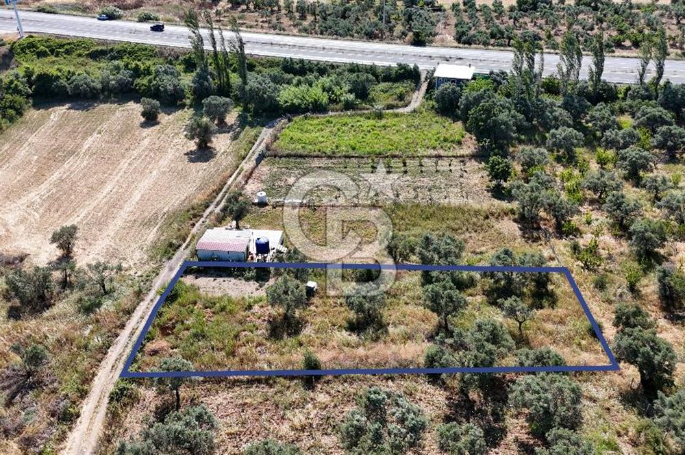 KEMALPAŞA VİŞNELİDE 1.245 M2 TARLA