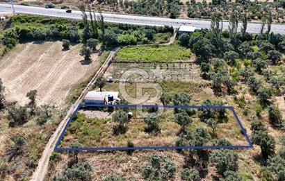 KEMALPAŞA VİŞNELİDE 1.245 M2 TARLA