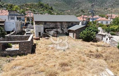 MİLAS BAFA'DA GENİŞ ARAZİSİ VE ZEYTİNYAĞI ATÖLYESİ 1.369 M2