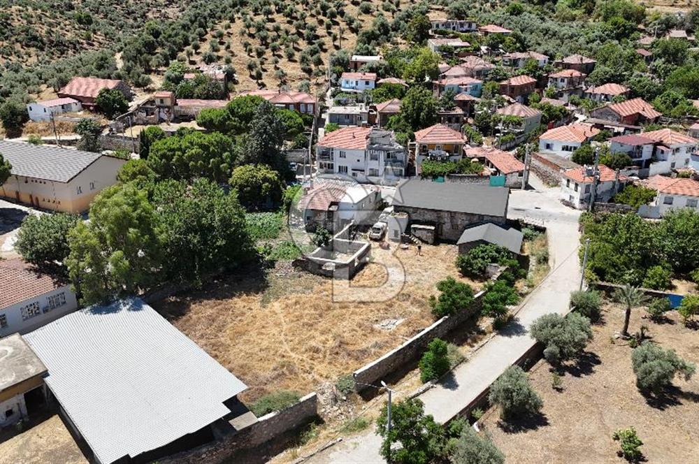 MİLAS BAFA'DA GENİŞ ARAZİSİ VE ZEYTİNYAĞI ATÖLYESİ 1.369 M2