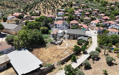 MİLAS BAFA'DA GENİŞ ARAZİSİ VE ZEYTİNYAĞI ATÖLYESİ 1.369 M2