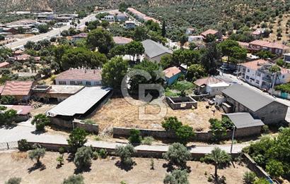 MİLAS BAFA'DA GENİŞ ARAZİSİ VE ZEYTİNYAĞI ATÖLYESİ 1.369 M2