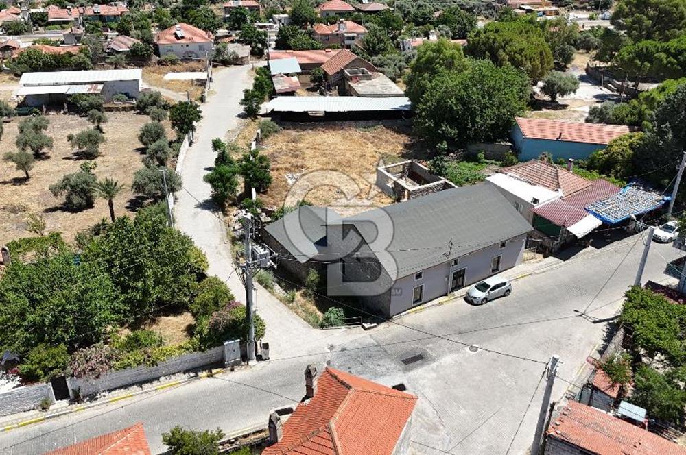 MİLAS BAFA'DA GENİŞ ARAZİSİ VE ZEYTİNYAĞI ATÖLYESİ 1.369 M2