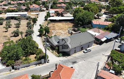 MİLAS BAFA'DA GENİŞ ARAZİSİ VE ZEYTİNYAĞI ATÖLYESİ 1.369 M2
