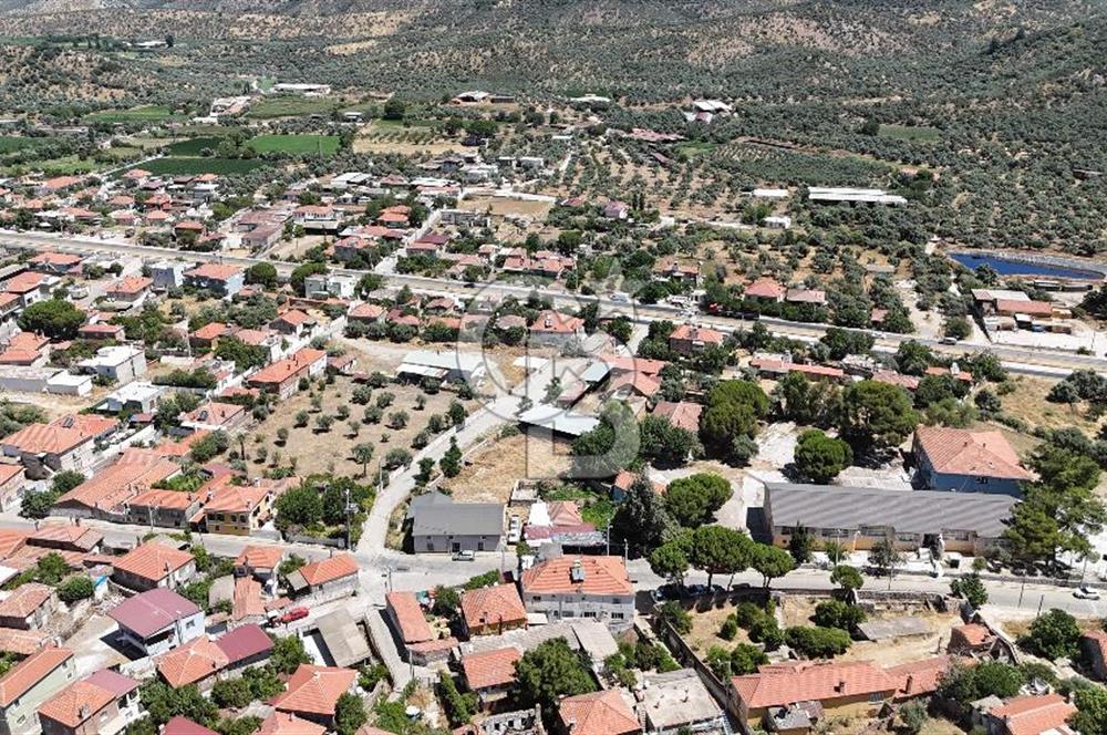 MİLAS BAFA'DA GENİŞ ARAZİSİ VE ZEYTİNYAĞI ATÖLYESİ 1.369 M2