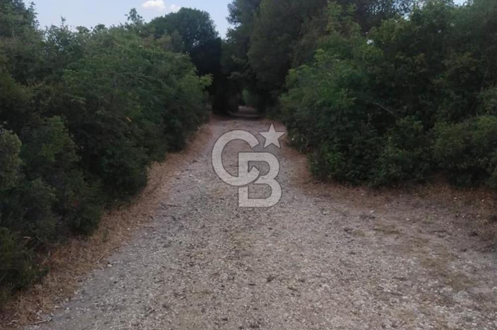 ÇANAKKALE İLİ EZİNE İLÇESİ BOZELİ KÖYÜ 5.5 DÖNÜM SATILIK TARLA