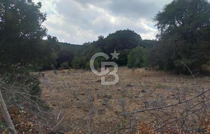 ÇANAKKALE İLİ EZİNE İLÇESİ BOZELİ KÖYÜ 5.5 DÖNÜM SATILIK TARLA