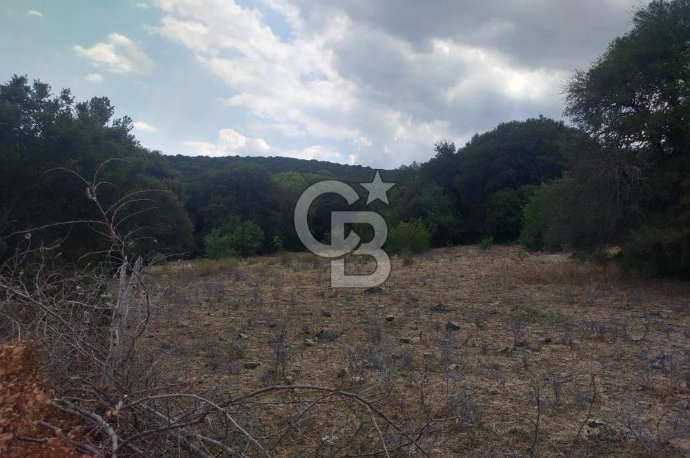 ÇANAKKALE İLİ EZİNE İLÇESİ BOZELİ KÖYÜ 5.5 DÖNÜM SATILIK TARLA