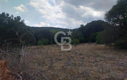 ÇANAKKALE İLİ EZİNE İLÇESİ BOZELİ KÖYÜ 5.5 DÖNÜM SATILIK TARLA