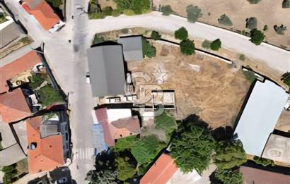 MİLAS BAFA'DA GENİŞ ARAZİSİ VE ZEYTİNYAĞI ATÖLYESİ 1.369 M2