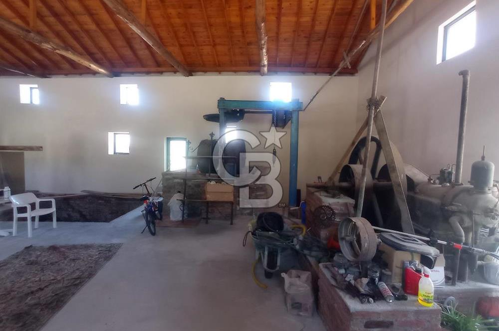 MİLAS BAFA'DA GENİŞ ARAZİSİ VE ZEYTİNYAĞI ATÖLYESİ 1.369 M2