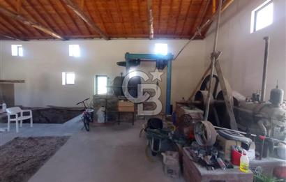 MİLAS BAFA'DA GENİŞ ARAZİSİ VE ZEYTİNYAĞI ATÖLYESİ 1.369 M2