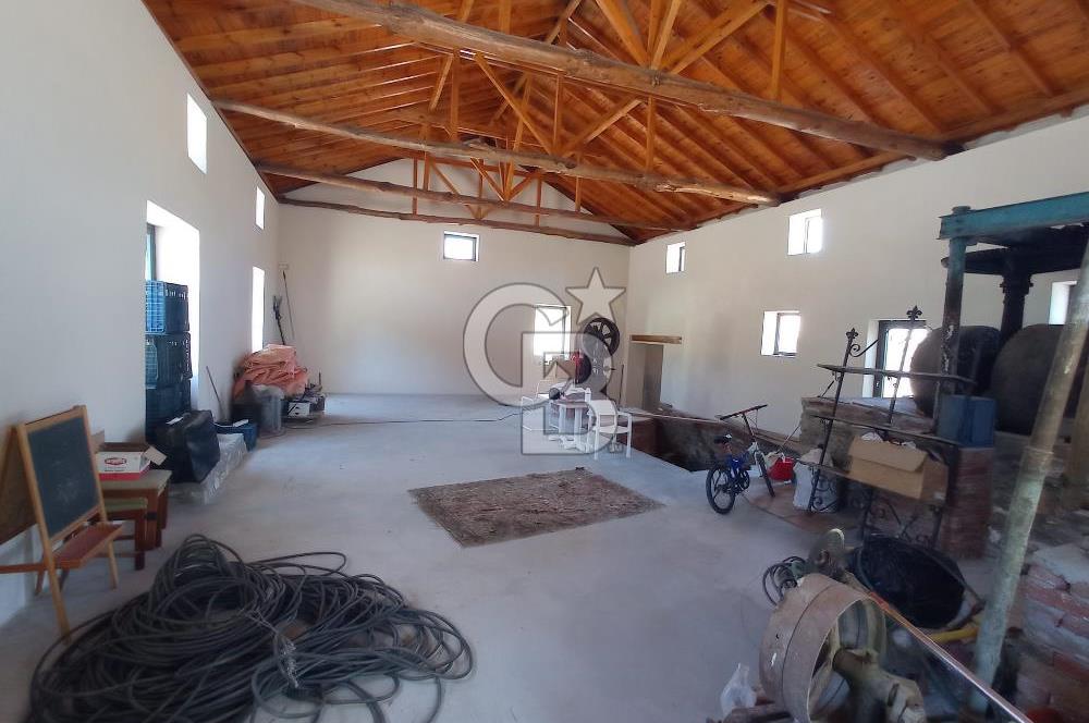 MİLAS BAFA'DA GENİŞ ARAZİSİ VE ZEYTİNYAĞI ATÖLYESİ 1.369 M2