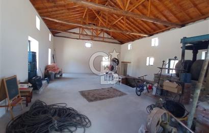 MİLAS BAFA'DA GENİŞ ARAZİSİ VE ZEYTİNYAĞI ATÖLYESİ 1.369 M2