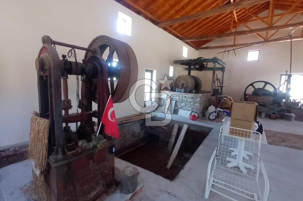 MİLAS BAFA'DA GENİŞ ARAZİSİ VE ZEYTİNYAĞI ATÖLYESİ 1.369 M2