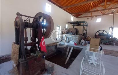 MİLAS BAFA'DA GENİŞ ARAZİSİ VE ZEYTİNYAĞI ATÖLYESİ 1.369 M2