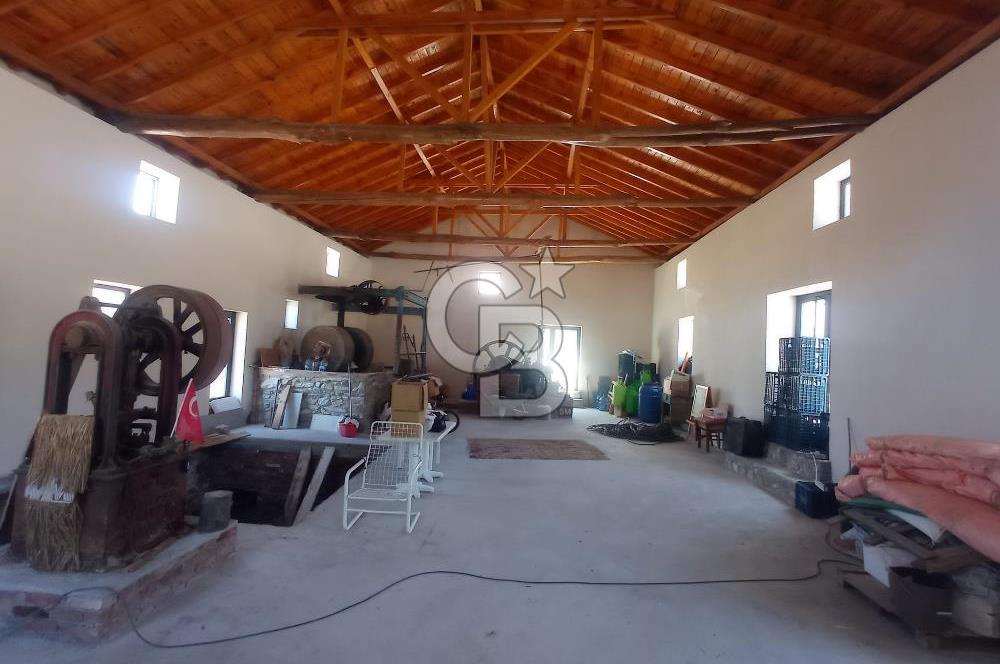 MİLAS BAFA'DA GENİŞ ARAZİSİ VE ZEYTİNYAĞI ATÖLYESİ 1.369 M2
