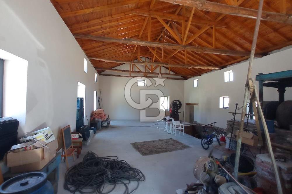 MİLAS BAFA'DA GENİŞ ARAZİSİ VE ZEYTİNYAĞI ATÖLYESİ 1.369 M2