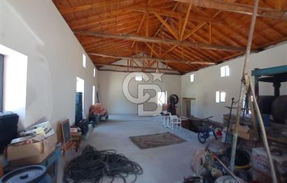 MİLAS BAFA'DA GENİŞ ARAZİSİ VE ZEYTİNYAĞI ATÖLYESİ 1.369 M2