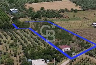 KEMALPAŞA AŞAĞI KIZILCA KARABAĞLAR MEVKINDE SATILIK BAHÇE