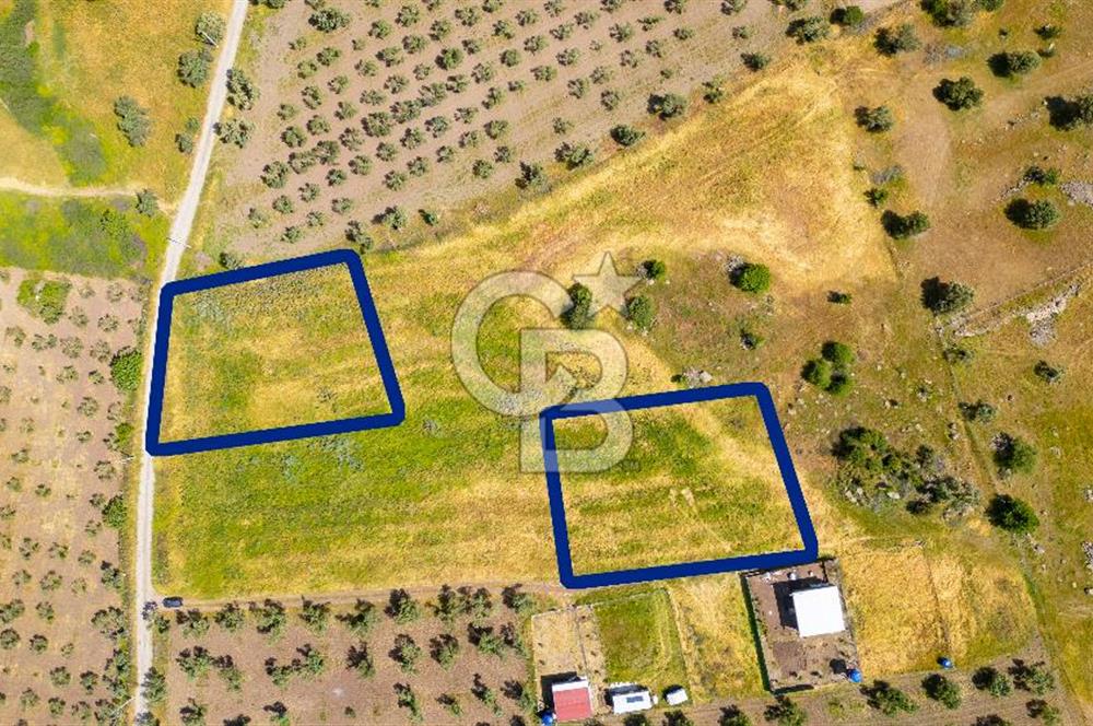 Foça Kocamehmetler'de Satılık 1250 m2 Tarla