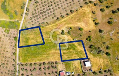 Foça Kocamehmetler'de Satılık 1250 m2 Tarla