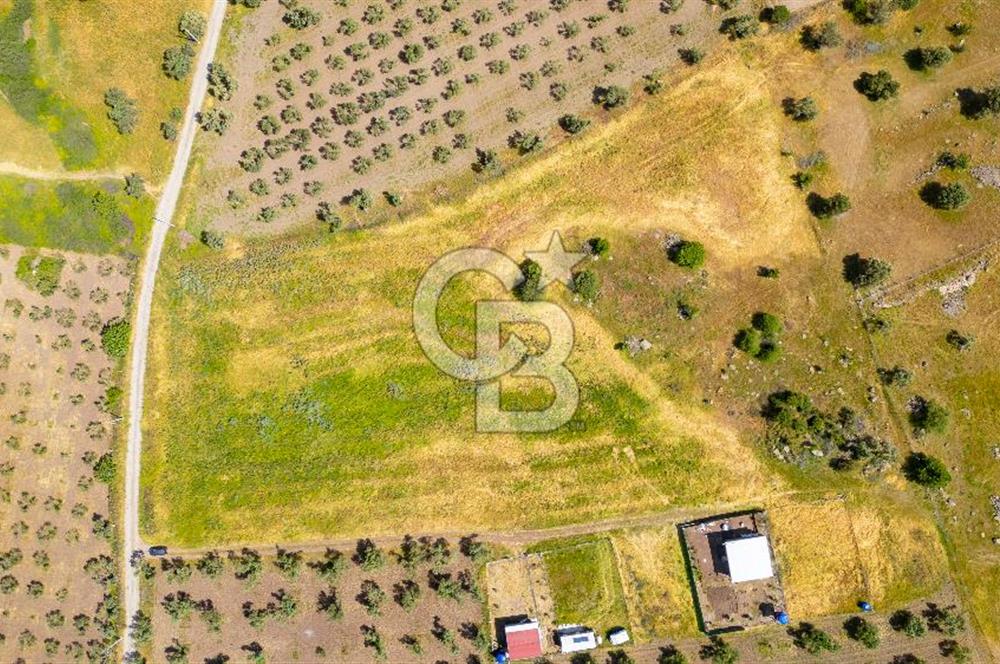 Foça Kocamehmetler'de Satılık 1250 m2 Tarla