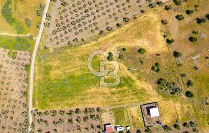 Foça Kocamehmetler'de Satılık 1250 m2 Tarla