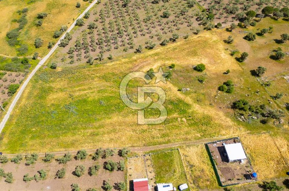 Foça Kocamehmetler'de Satılık 1250 m2 Tarla