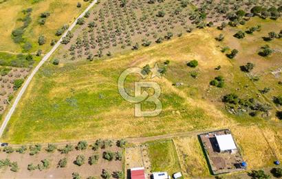 Foça Kocamehmetler'de Satılık 1250 m2 Tarla