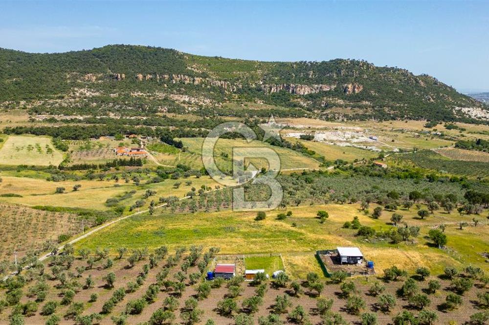 Foça Kocamehmetler'de Satılık 1250 m2 Tarla