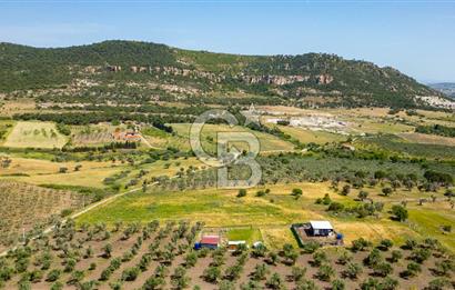 Foça Kocamehmetler'de Satılık 1250 m2 Tarla