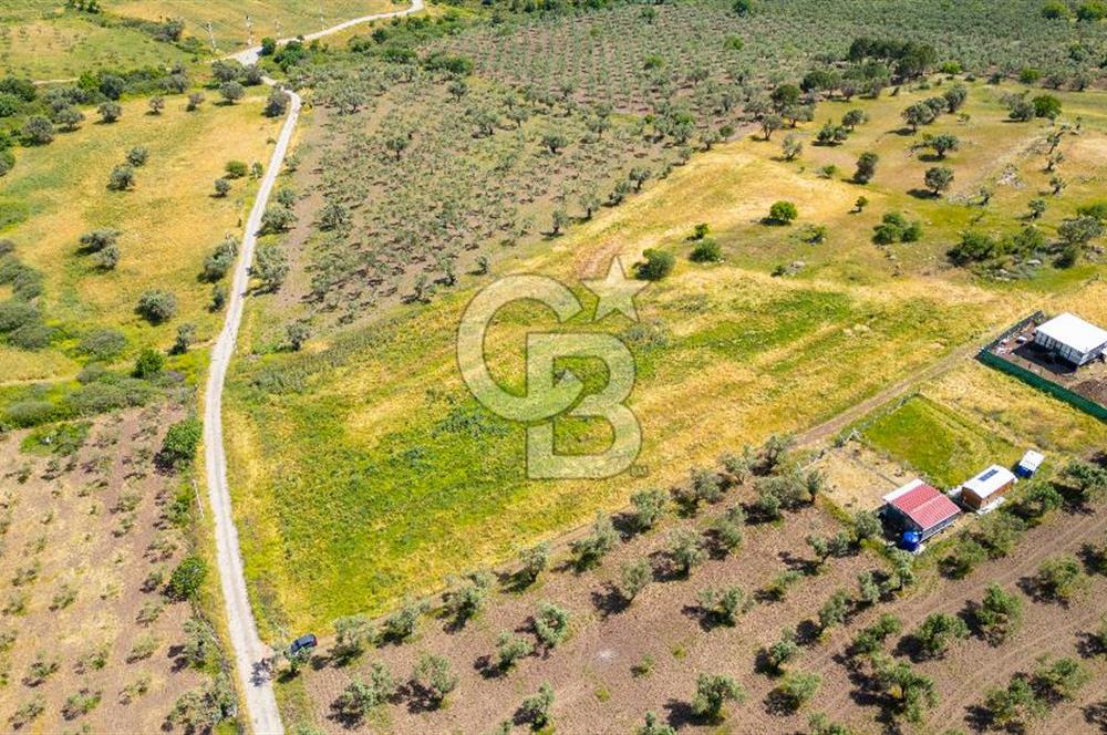 Foça Kocamehmetler'de Satılık 1250 m2 Tarla