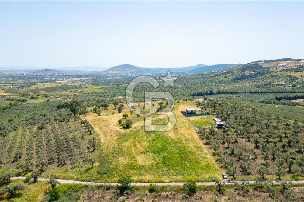 Foça Kocamehmetler'de Satılık 1250 m2 Tarla
