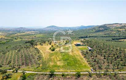 Foça Kocamehmetler'de Satılık 1250 m2 Tarla