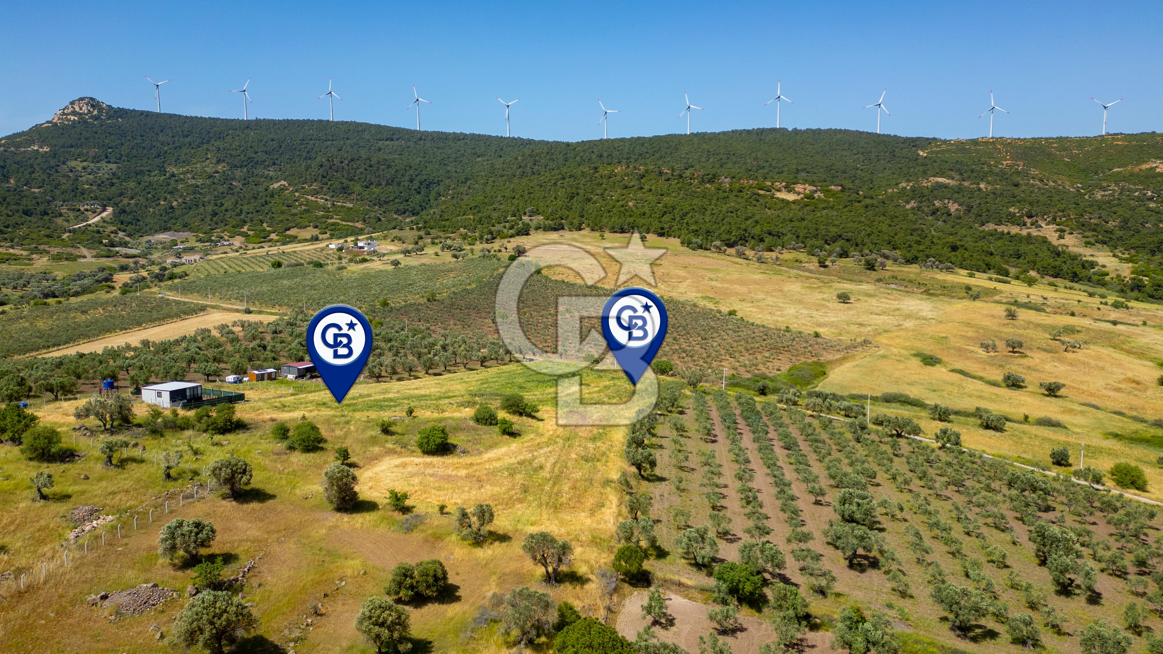 Foça Kocamehmetler'de Satılık 1250 m2 Tarla