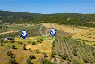 Foça Kocamehmetler'de Satılık 1250 m2 Tarla