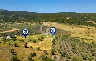 Foça Kocamehmetler'de Satılık 1250 m2 Tarla