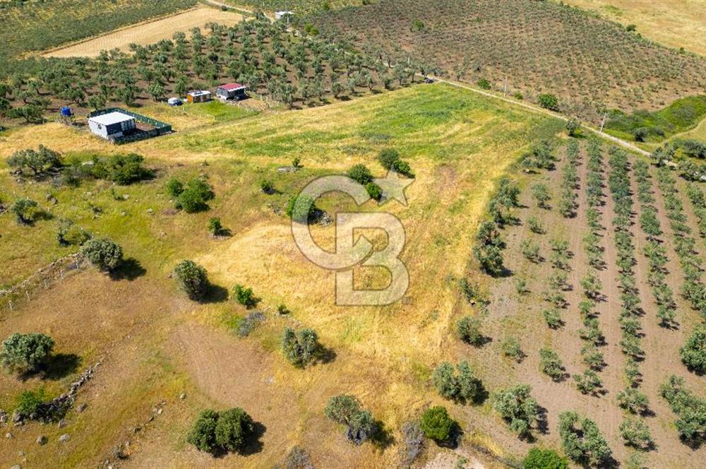 Foça Kocamehmetler'de Satılık Tarla