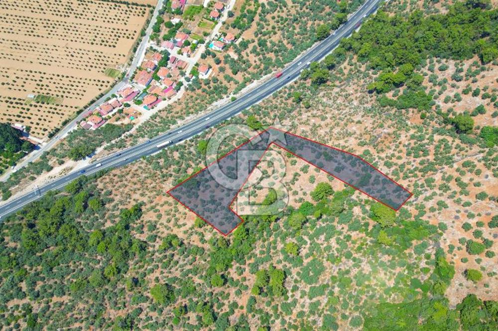 Muğla Ula Akyaka’da 6.315 m² Satılık Tarla