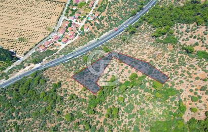 Muğla Ula Akyaka’da 6.315 m² Satılık Tarla