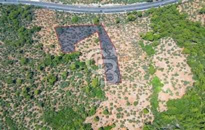 Muğla Ula Akyaka’da 6.315 m² Satılık Tarla