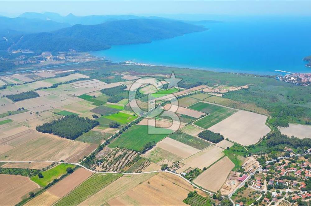 Muğla Ula Akyaka’da 6.315 m² Satılık Tarla