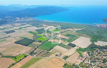 Muğla Ula Akyaka’da 6.315 m² Satılık Tarla