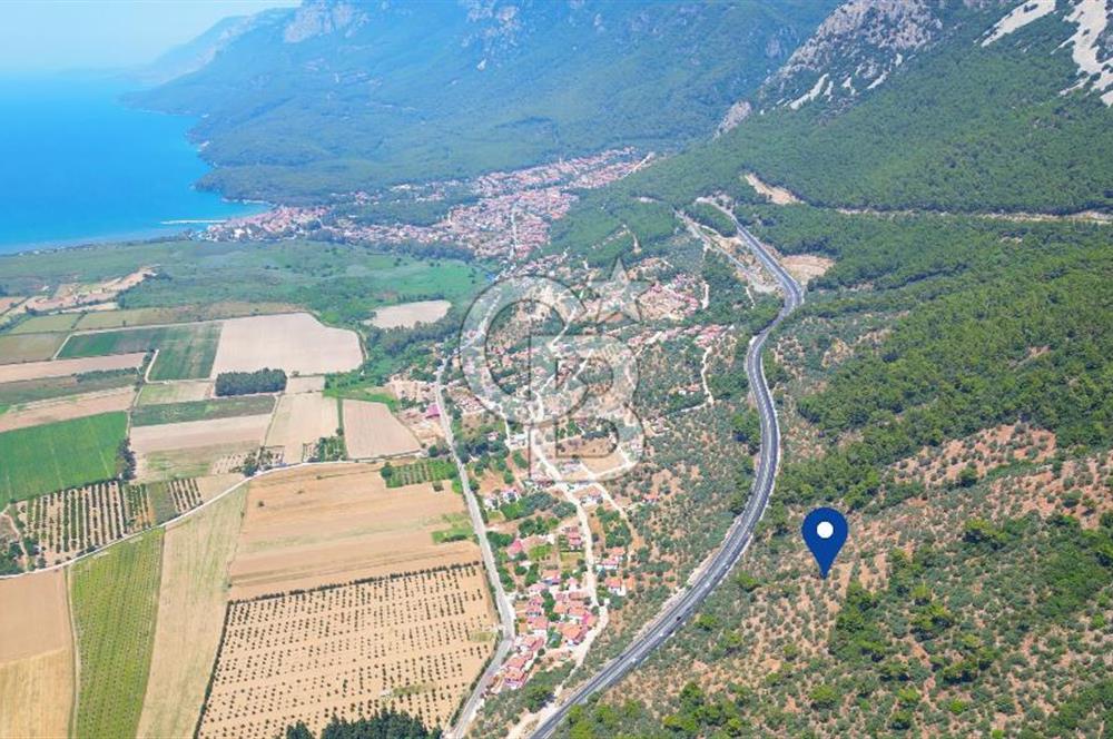 Muğla Ula Akyaka’da 6.315 m² Satılık Tarla