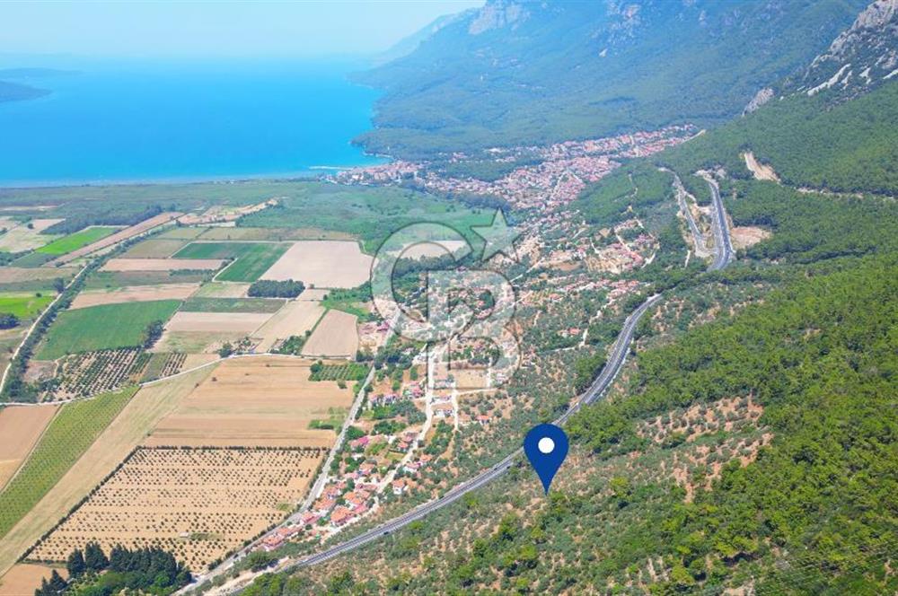 Muğla Ula Akyaka’da 6.315 m² Satılık Tarla